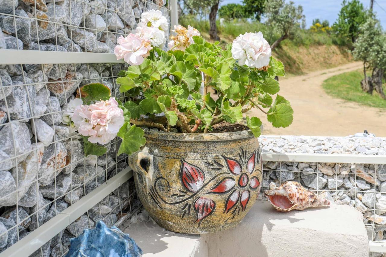 Casa Rozana - Skiathos Exterior foto